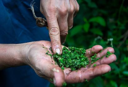 Herbs Agroecological Tour