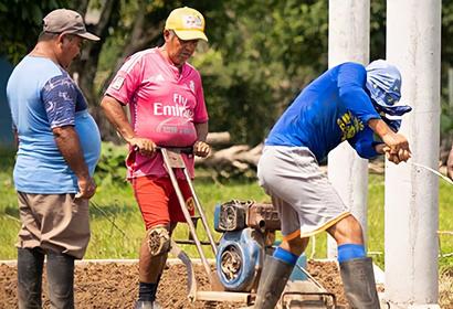 former coca growers Colombia