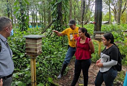 Students in front of a bee hive