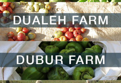 Somali Agrifood Case Studies